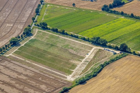Aerial view, flower field, meadows and fields Im Kreigenfeld in Bergkamen, Ruhr area, North