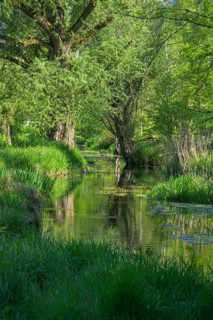 River Aulandschaft, Götzinger Achen, Tittmoning, Bavaria, Germany