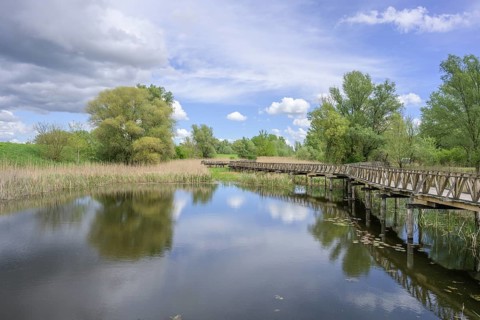 Jetty in the Kopacki Rit nature park Park, Kopacevo, Osijek-Baranja County, Croatia