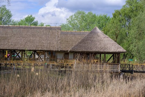 Jetty in the Kopacki Rit nature park Park, Kopacevo, Osijek-Baranja County, Croatia