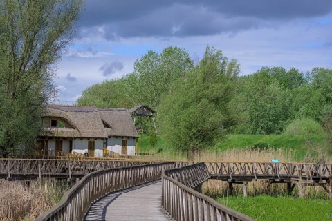 Jetty in the Kopacki Rit nature park Park, Kopacevo, Osijek-Baranja County, Croatia