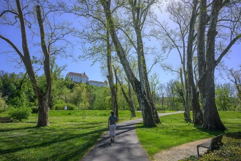 City park with a view of Oberradkersburg Castle in Slovenia, Bad Radkersburg, Styria, Austria