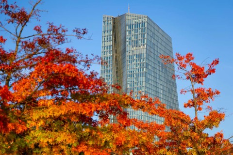 The European Central Bank (ECB) in Frankfurt am Main stands out from the autumnal, colourful trees