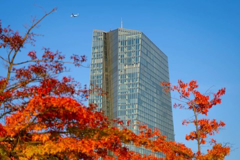 The European Central Bank (ECB) in Frankfurt am Main stands out from the autumnal, colourful trees