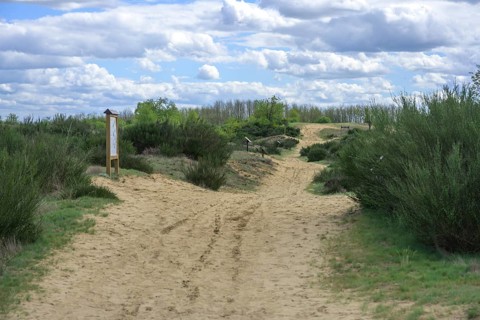 Ðurdevacki pjesci nature reserve, Ðurdevac, Koprivnica-Križevc County, Croatia