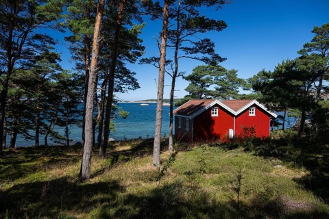 Falun red or Swedish red boathouses between pine trees, Resö Island, Bohuslän, Skagerrak, Sotenäs,