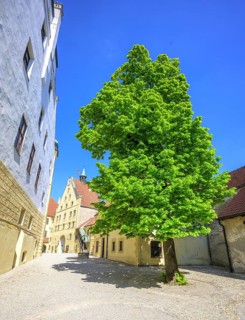 Inner courtyard of Trausnitz Castle, Landshut, Bavaria, Germany