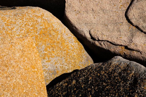 Bohus granite with yellow lichen, rocky coast, Ramsvik, Naturreservat Ramsviklandet, Bohuslän,
