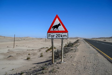 Sign warning of brown hyenas or beach wolves (Parahyaena brunnea), near Lüderitz, Karas Region,