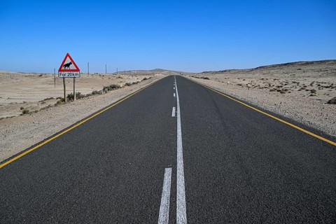 Sign warning of brown hyenas or beach wolves (Parahyaena brunnea), near Lüderitz, Karas Region,