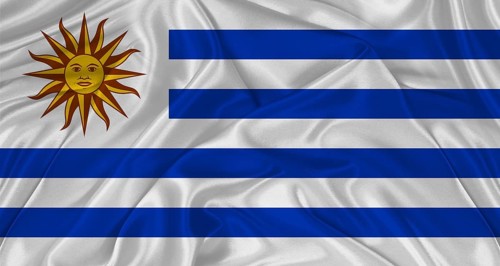 Flag of Uruguay with cloth texture. Close up of Uruguay flag waving