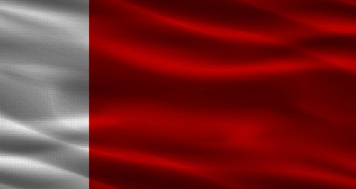 Dubai flag with fabric texture. Realistic flag of Dubai waving
