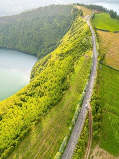 Car on Road with Hydrangeas. Green Lush Fields and Trees. Azores, Sao Miguel Island. Portugal.