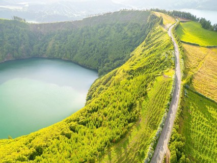 Road with Hydrangeas. Green Fields, Forest, Hills and Lake. Azores, Sao Miguel Island. Portugal.