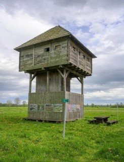 Observation tower in the Krapje Dol nature reserve, Krapje, Sisak-Moslavina County, Croatia