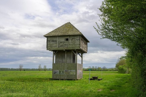 Observation tower in the Krapje Dol nature reserve, Krapje, Sisak-Moslavina County, Croatia