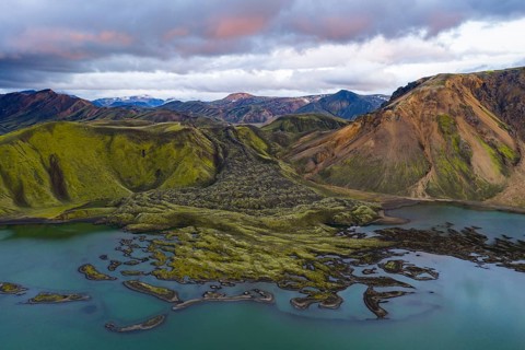 Moss-covered lava field, Landmannalaugar, Fjallabak Nature Reserve, Icelandic Highlands, Iceland