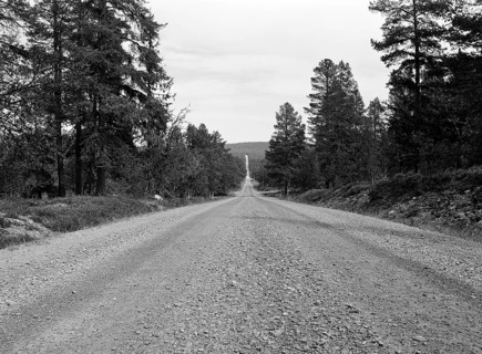 Straight gravel road, black and white, analogue, Härjedalen, Sweden