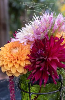 Colourful bouquet of dahlias in a vase with green nature in the background, North Rhine-Westphalia,