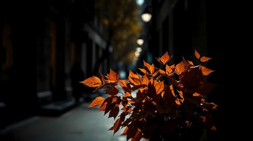 A bouquet of warm autumn leaves stands out in low key lighting, casting deep shadows along a serene