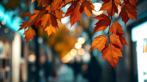 Bright autumn leaves hang gracefully, warm colors surround charming street, blurred lights create