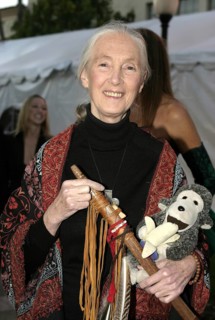 Dr. Jane Goodall at the the 2nd Annual Guardian IDA Awards fundraiser held at Paramount Studios in