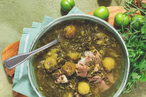 Chakapuli, Georgian dish, stewed meat with herbs and tkemali, in white wine, homemade, no people