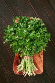 A bunch of fresh cilantro sits on a wooden cutting board. The vibrant green leaves and stems are