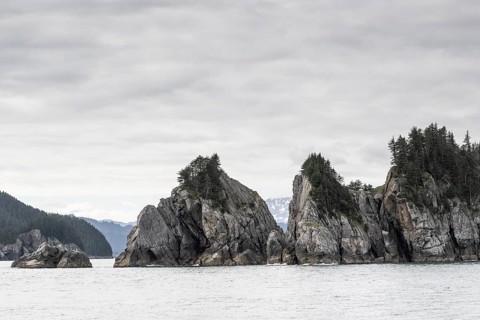 Rocks in the sea, Kenai Fjords National Park, Alaska, USA
