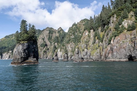 Rocks in the sea, Kenai Fjords National Park, Alaska, USA