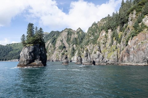 Rocks in the sea, Kenai Fjords National Park, Alaska, USA