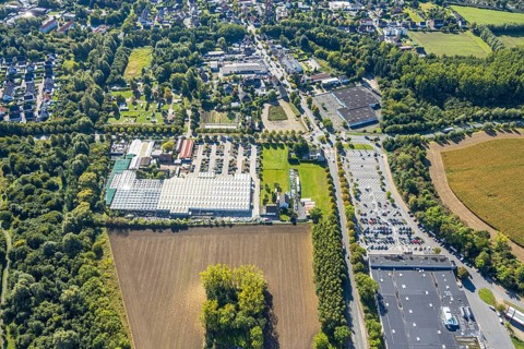 Aerial view, roundabout Sachsring and Münsterstraße, garden centre Bintig GmbH and Kaufland