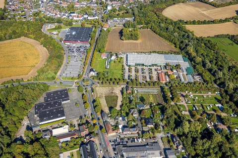 Aerial view, roundabout Sachsring and Münsterstraße, garden centre Bintig GmbH and Kaufland