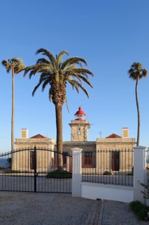 Lighthouse and palm trees, Ponta da Piedade, Lagos, Algarve, Portugal