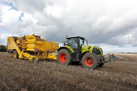 Agricultural harvesting of potatoes with ROPA Keiler 2 potato harvester in front of Claas Axion 830