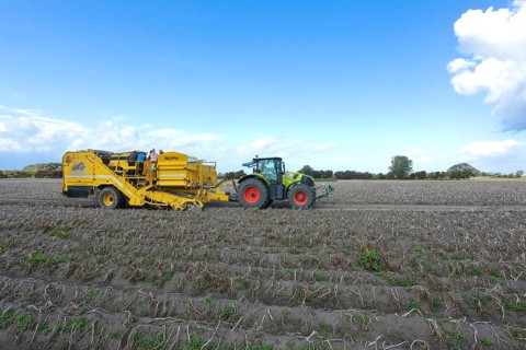 Agricultural harvesting of potatoes with ROPA Keiler 2 potato harvester in front of Claas Axion 830