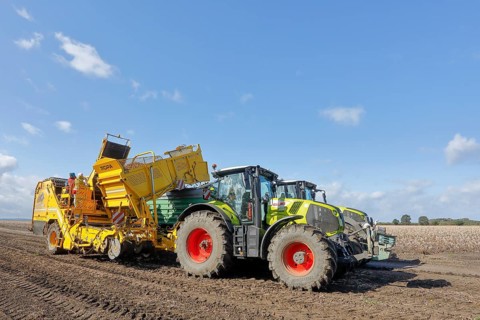 Agricultural harvesting of potatoes with ROPA Keiler 2 potato harvester in front of Claas Axion 830