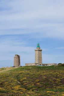 Lighthouse and landscape with flowering gorse (Ulex gallii) and heather, Cap Frehel, Cote