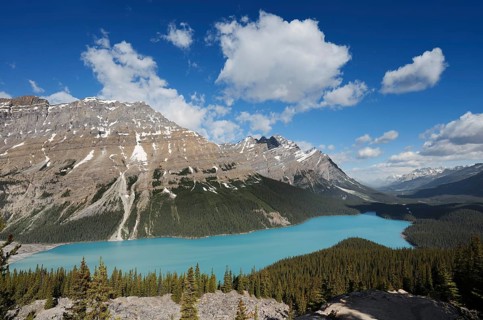 Glacier lake Peyto Lake, Icefields Parkway, Banff National Park, Alberta, Canada