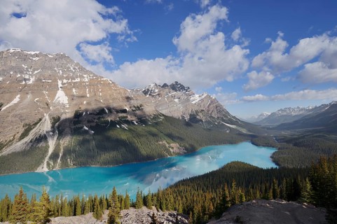 Glacier lake Peyto Lake, Icefields Parkway, Banff National Park, Alberta, Canada