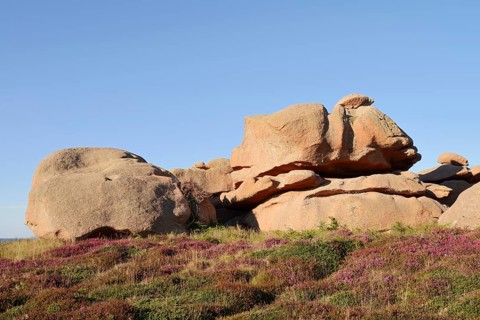 Granite rocks on the Cote de Granit Rose coast near Ploumanac'h, Cotes-d'Armor, Brittany, France