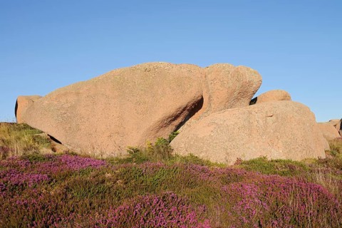 Granite rocks on the Cote de Granit Rose coast near Ploumanac'h, Cotes-d'Armor, Brittany, France