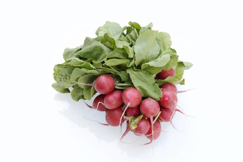 Radish (Raphanus sativus var. sativus) with leaves against a white background