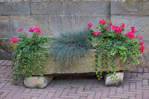 Sowing trough, stone trough with flower planting and grasses, Münsterland, North Rhine-Westphalia,