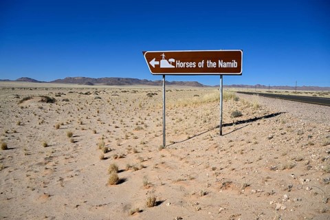 Sign desert horses, near Garub, Karas region, Namibia