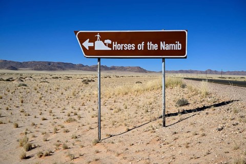 Sign desert horses, near Garub, Karas region, Namibia