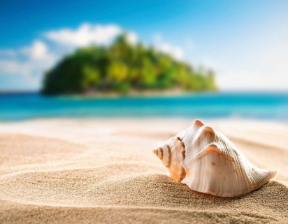 Composition with beach water, sand, starfish and seashells. Summer vacations concept, AI generated