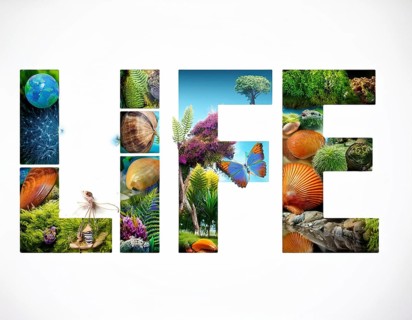 An artistic depiction of the word 'LIFE' filled with vivid imagery representing nature, wildlife,