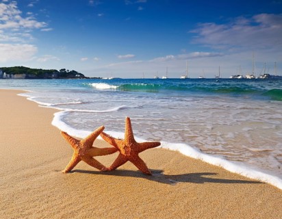 Starfish on a sandy beach create a serene and relaxing atmosphere, symbolizing nature and coastal