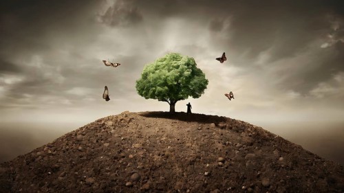 Saving environment planting trees, ecology concept. World Earth Day. AI generated image, ai